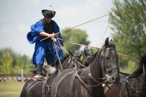 XV. Biharnagybajomi Lovasnap - 2018. július 15. (foto: Jenei Boldizsár)