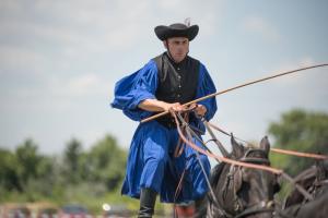 XV. Biharnagybajomi Lovasnap - 2018. július 15. (foto: Jenei Boldizsár)