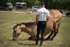XV. Biharnagybajomi Lovasnap - 2018. július 15. (foto: Jenei Boldizsár)