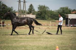 XV. Biharnagybajomi Lovasnap - 2018. július 15. (foto: Jenei Boldizsár)