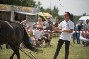 XV. Biharnagybajomi Lovasnap - 2018. július 15. (foto: Jenei Boldizsár)
