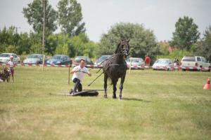 XV. Biharnagybajomi Lovasnap - 2018. július 15. (foto: Jenei Boldizsár)