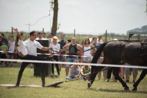 XV. Biharnagybajomi Lovasnap - 2018. július 15. (foto: Jenei Boldizsár)