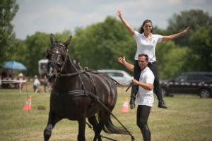 XV. Biharnagybajomi Lovasnap - 2018. július 15. (foto: Jenei Boldizsár)