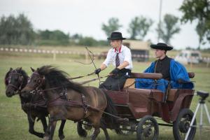 XV. Biharnagybajomi Lovasnap - 2018. július 15. (foto: Jenei Boldizsár)