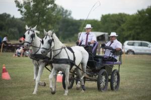 XV. Biharnagybajomi Lovasnap - 2018. július 15. (foto: Jenei Boldizsár)