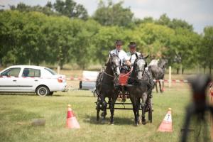 XV. Biharnagybajomi Lovasnap - 2018. július 15. (foto: Jenei Boldizsár)