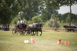 XV. Biharnagybajomi Lovasnap - 2018. július 15. (foto: Jenei Boldizsár)