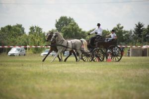 XV. Biharnagybajomi Lovasnap - 2018. július 15. (foto: Jenei Boldizsár)