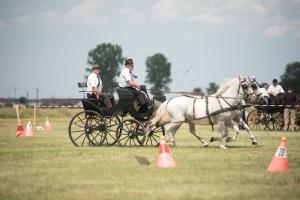 XV. Biharnagybajomi Lovasnap - 2018. július 15. (foto: Jenei Boldizsár)