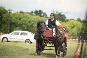 XV. Biharnagybajomi Lovasnap - 2018. július 15. (foto: Jenei Boldizsár)