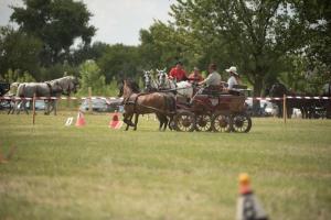 XV. Biharnagybajomi Lovasnap - 2018. július 15. (foto: Jenei Boldizsár)