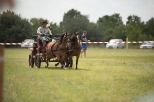 XV. Biharnagybajomi Lovasnap - 2018. július 15. (foto: Jenei Boldizsár)