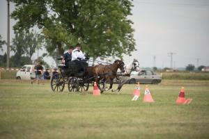 XV. Biharnagybajomi Lovasnap - 2018. július 15. (foto: Jenei Boldizsár)
