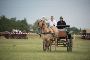XV. Biharnagybajomi Lovasnap - 2018. július 15. (foto: Jenei Boldizsár)