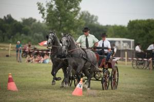 XV. Biharnagybajomi Lovasnap - 2018. július 15. (foto: Jenei Boldizsár)