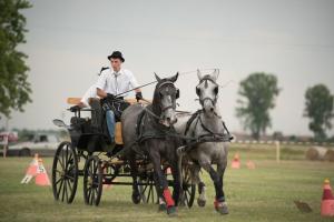 XV. Biharnagybajomi Lovasnap - 2018. július 15. (foto: Jenei Boldizsár)