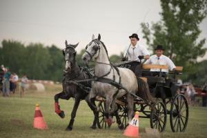 XV. Biharnagybajomi Lovasnap - 2018. július 15. (foto: Jenei Boldizsár)