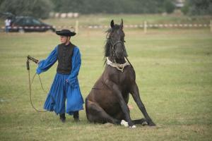 XV. Biharnagybajomi Lovasnap - 2018. július 15. (foto: Jenei Boldizsár)
