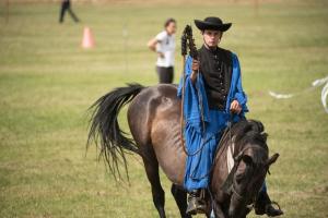 XV. Biharnagybajomi Lovasnap - 2018. július 15. (foto: Jenei Boldizsár)