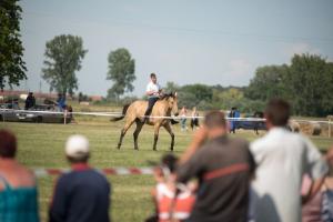 XV. Biharnagybajomi Lovasnap - 2018. július 15. (foto: Jenei Boldizsár)