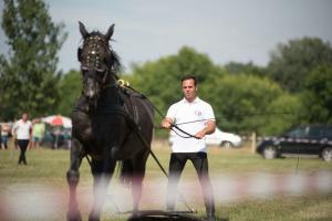 XV. Biharnagybajomi Lovasnap - 2018. július 15. (foto: Jenei Boldizsár)