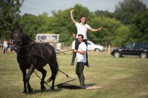 XV. Biharnagybajomi Lovasnap - 2018. július 15. (foto: Jenei Boldizsár)