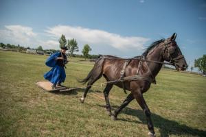 XV. Biharnagybajomi Lovasnap - 2018. július 15. (foto: Jenei Boldizsár)