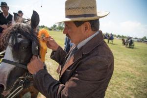 XV. Biharnagybajomi Lovasnap - 2018. július 15. (foto: Jenei Boldizsár)