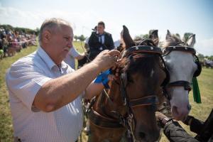 XV. Biharnagybajomi Lovasnap - 2018. július 15. (foto: Jenei Boldizsár)