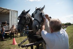 XV. Biharnagybajomi Lovasnap - 2018. július 15. (foto: Jenei Boldizsár)