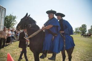 XV. Biharnagybajomi Lovasnap - 2018. július 15. (foto: Jenei Boldizsár)