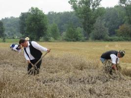 XXIV. Sárréti Hagyományőrző Aratónap - 2018. július 28.