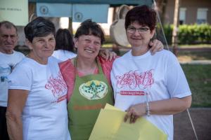 Biharnagybajom Napja (foto. Jenei Boldizsár) - 2019. 07. 06.