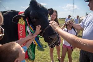 Biharnagybajom Napja (foto. Jenei Boldizsár) - 2019. 07. 06.