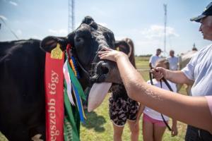 Biharnagybajom Napja (foto. Jenei Boldizsár) - 2019. 07. 06.