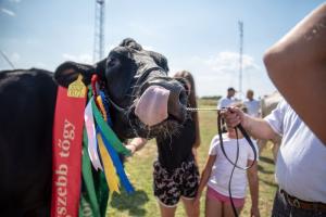 Biharnagybajom Napja (foto. Jenei Boldizsár) - 2019. 07. 06.