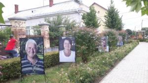 Jenei Boldizsár fotókiállítása a parkban - 2019.