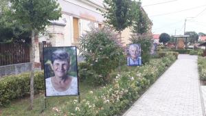 Jenei Boldizsár fotókiállítása a parkban - 2019.