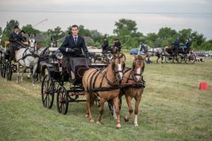 Lovasnap 2019. (foto: Jenei Boldizsár) - 2019. 07. 07.
