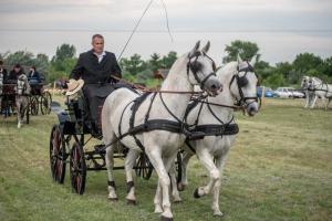 Lovasnap 2019. (foto: Jenei Boldizsár) - 2019. 07. 07.