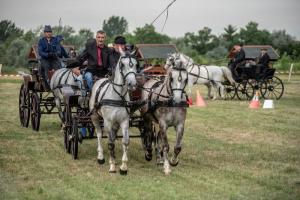 Lovasnap 2019. (foto: Jenei Boldizsár) - 2019. 07. 07.