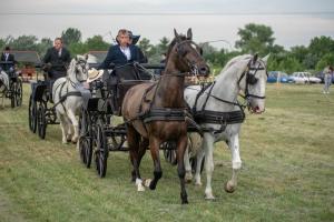 Lovasnap 2019. (foto: Jenei Boldizsár) - 2019. 07. 07.