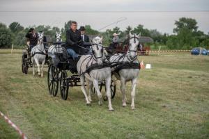 Lovasnap 2019. (foto: Jenei Boldizsár) - 2019. 07. 07.