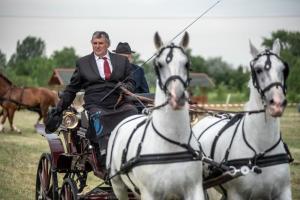 Lovasnap 2019. (foto: Jenei Boldizsár) - 2019. 07. 07.