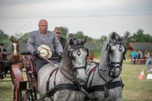 Lovasnap 2019. (foto: Jenei Boldizsár) - 2019. 07. 07.