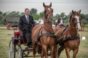 Lovasnap 2019. (foto: Jenei Boldizsár) - 2019. 07. 07.
