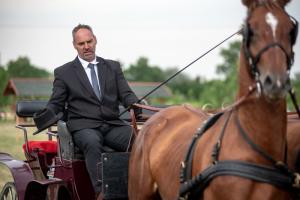 Lovasnap 2019. (foto: Jenei Boldizsár) - 2019. 07. 07.