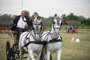 Lovasnap 2019. (foto: Jenei Boldizsár) - 2019. 07. 07.