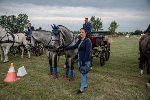 Lovasnap 2019. (foto: Jenei Boldizsár) - 2019. 07. 07.